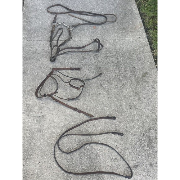 Brown Horse  Leather Driving Harness - Picture 1 of 8